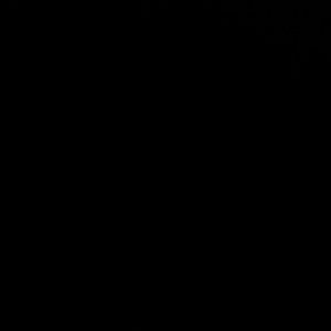 Meet your Posher, Stanley